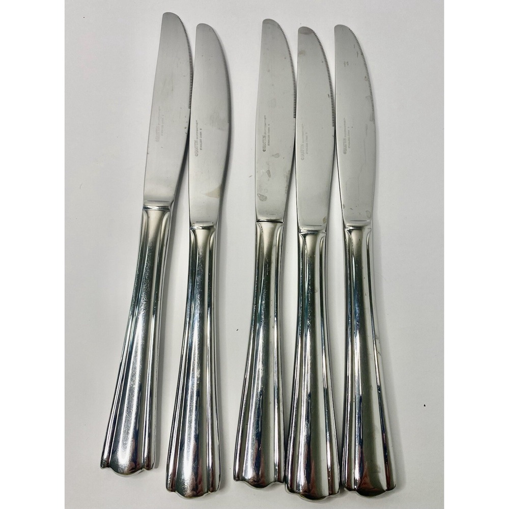 Hampton Silversmith 18/10 ELANA Stainless Dinner Knives Lot Of 5